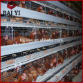 Nepal Layer Chicken Battery Cages For 10000 Birds Poultry Farm Design Layout